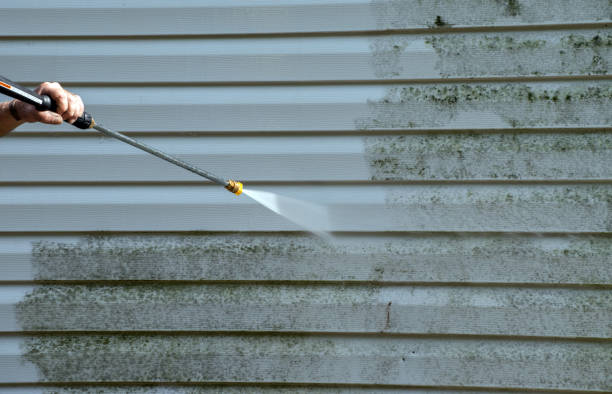 Best Deck Cleaning Services  in Arden Hills, MN